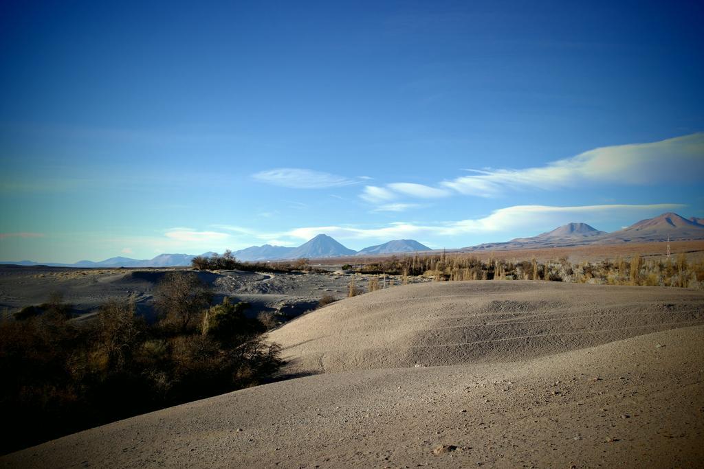 הוילה Toconao Complejo Turistico El Toconar מראה חיצוני תמונה