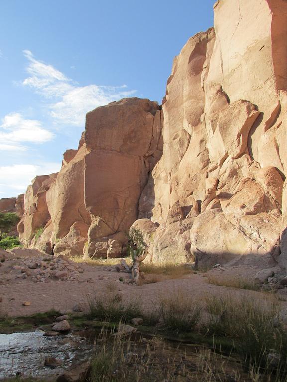 הוילה Toconao Complejo Turistico El Toconar מראה חיצוני תמונה